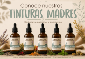 Tinturas madres